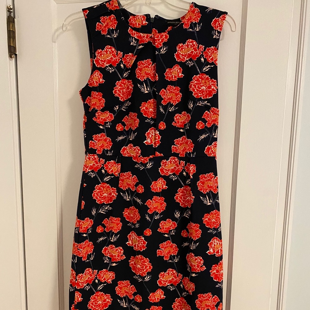 Banana Republic dress, size 4